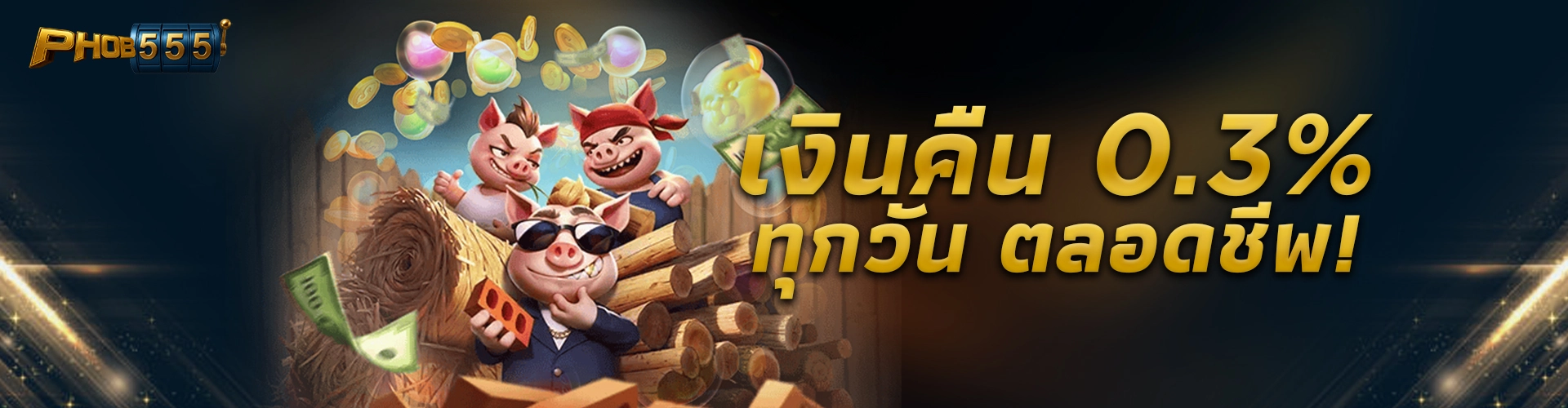 รับเงินคืนรายวันไม่จำกัด 0.3% ตลอดชีพที่ PHOB555